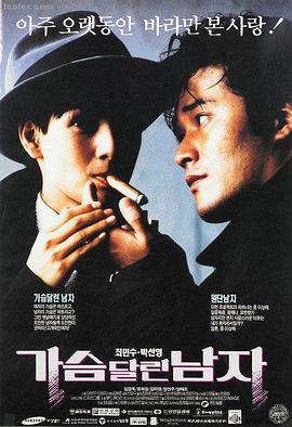 篮筐下的青春txt下载